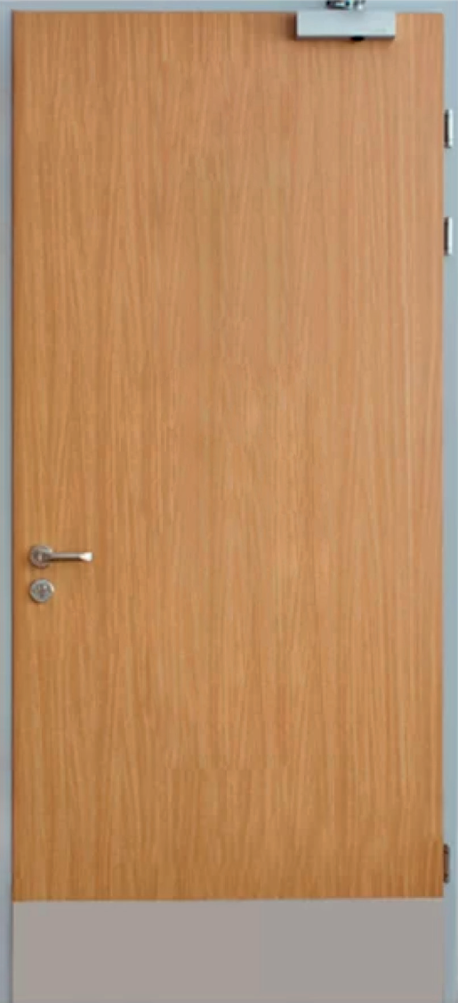 Противопожарная дверь EIS-30 глухая, однополая